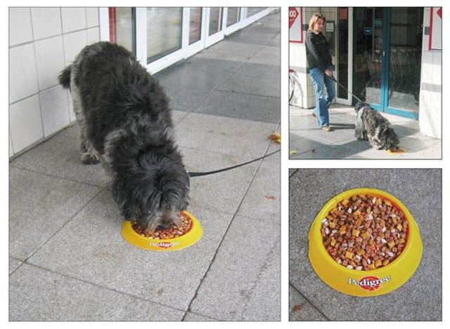 Pedigree stickers used in a successful sticker marketing campaign placed on the ground to show how much dogs want Pedigree food
